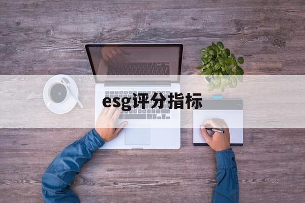 esg评分指标(ess评分是什么)